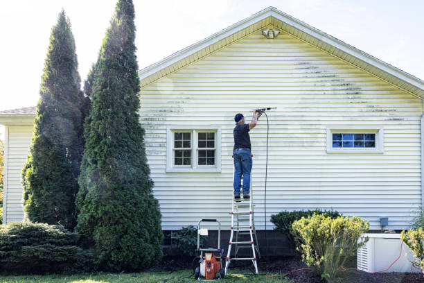 Best Soft Washing for Delicate Surfaces in Wheaton, IL